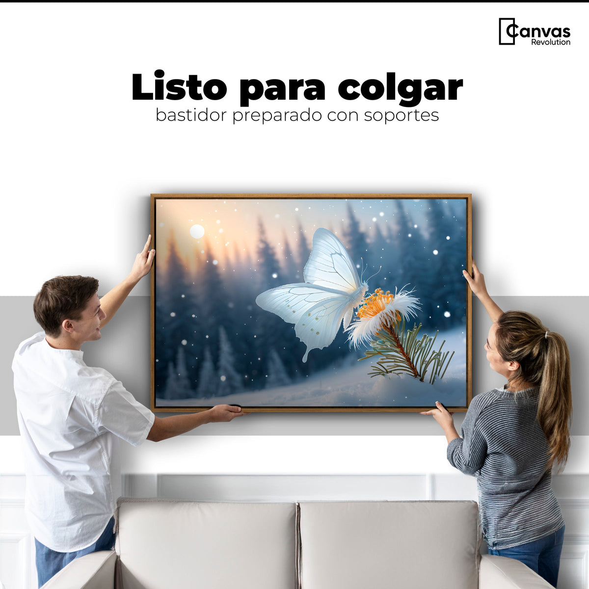 Cuadros Decorativos Canvas Revolution | Alas De Nieve | Colgar