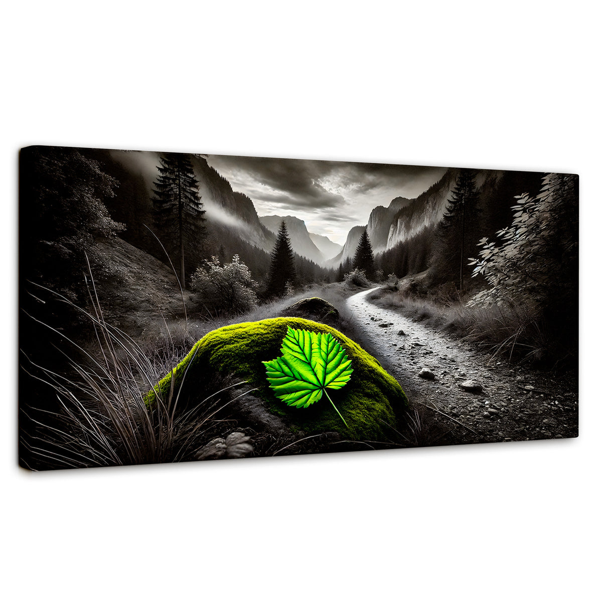 Cuadros Decorativos Canvas Revolution | Verde Silencio | Panoramico | Portada | Marco SinMarco