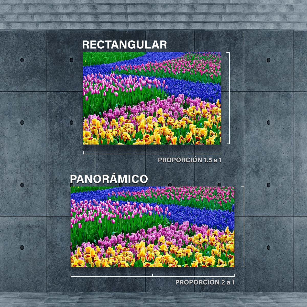 Flores En El Campo