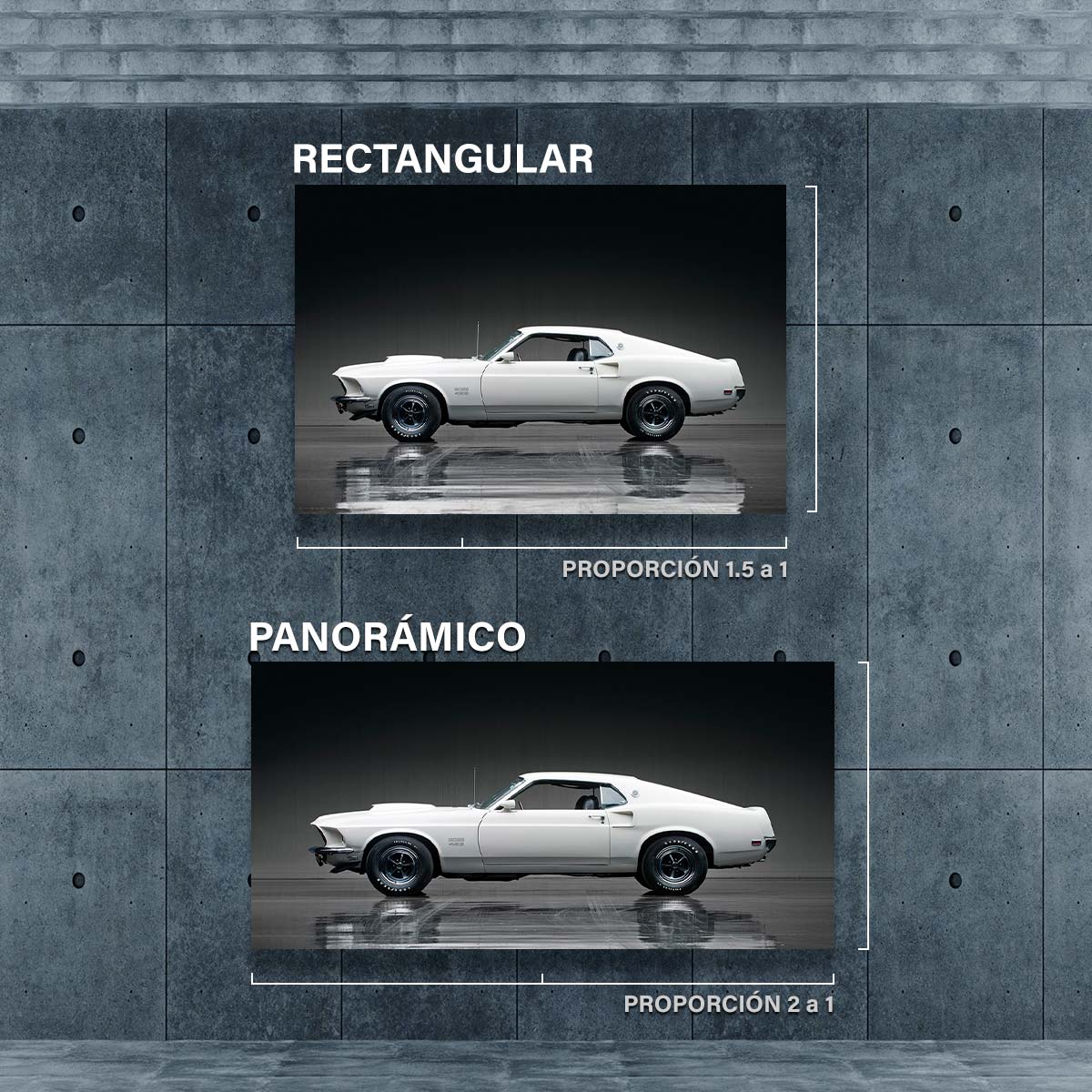 Mustang 429
