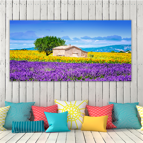 Sunflower Field Sky