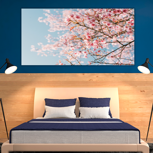 Pink Cherry Blossom