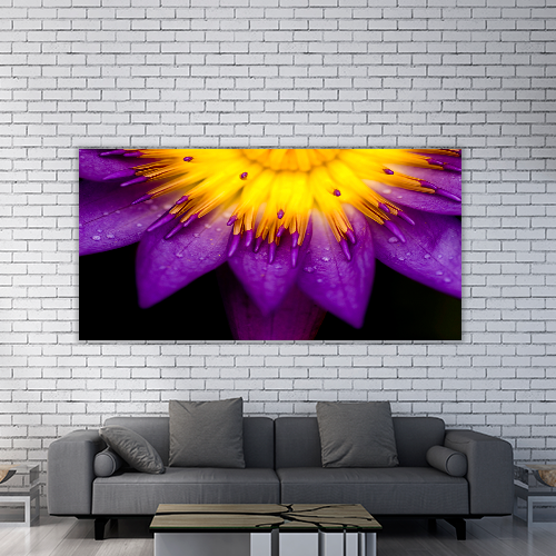 Purple lotus