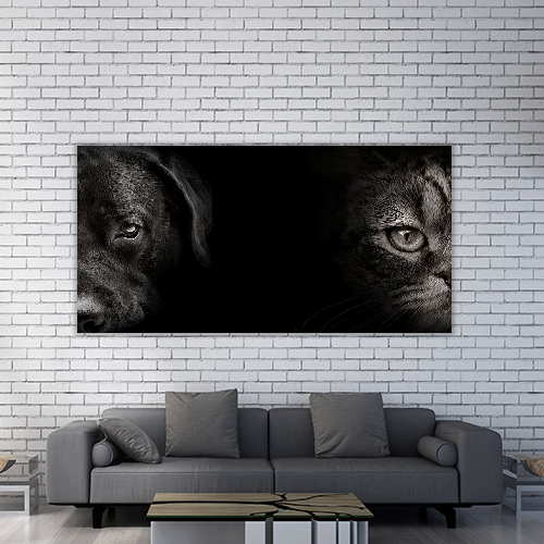 Cat and Dog