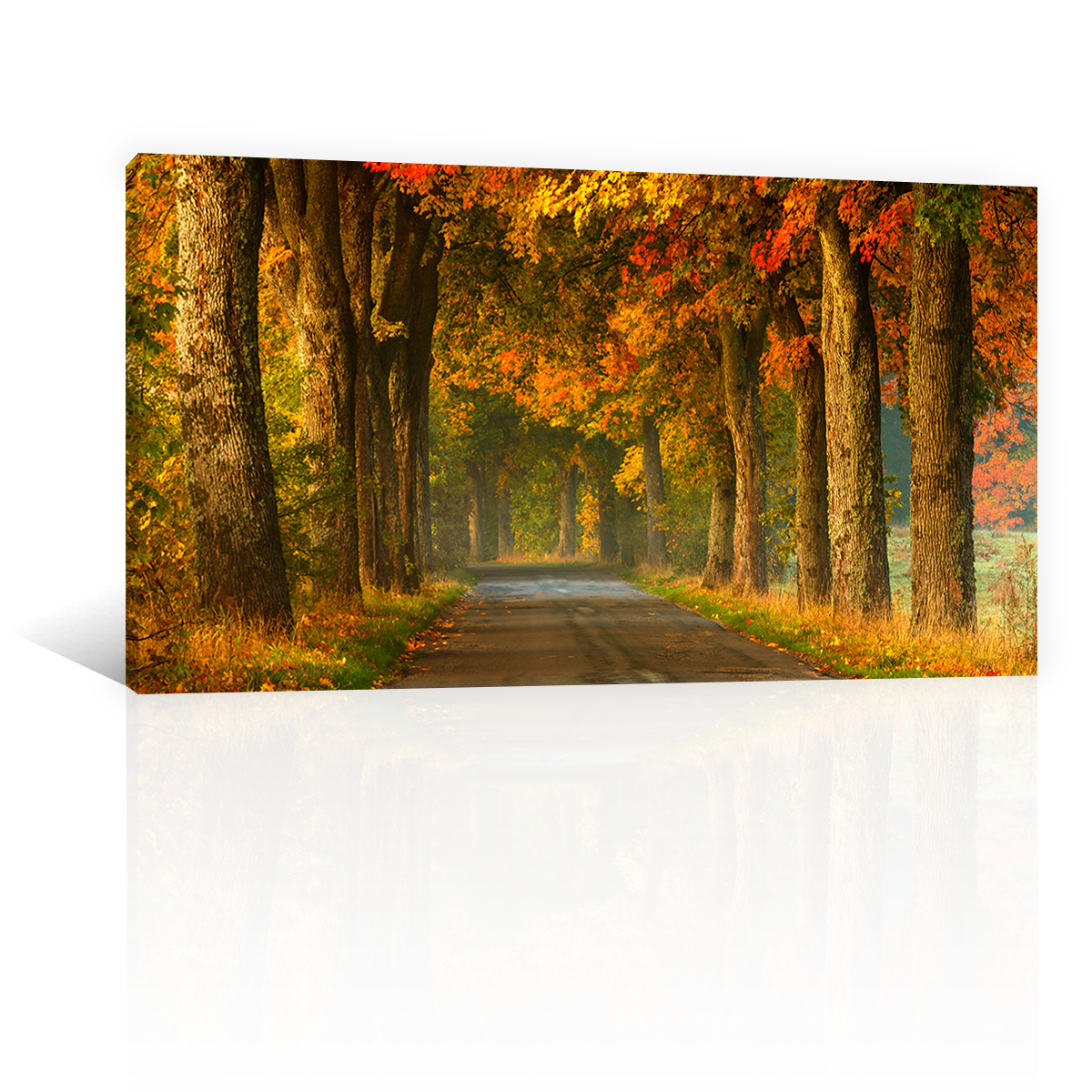 Arboles Rurales