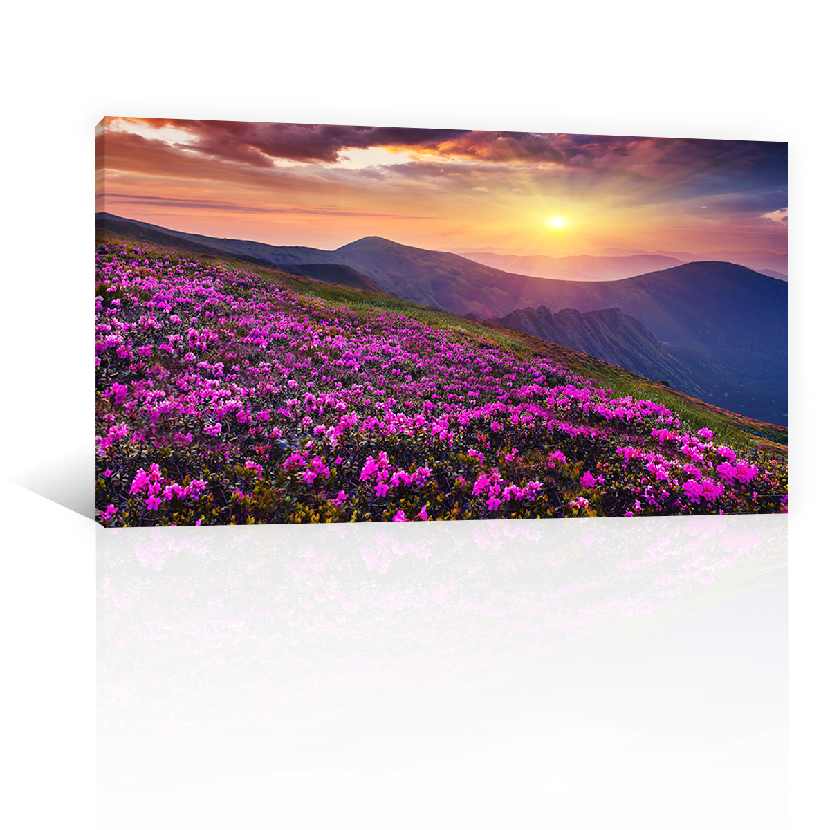 Bosque De Flores Moradas