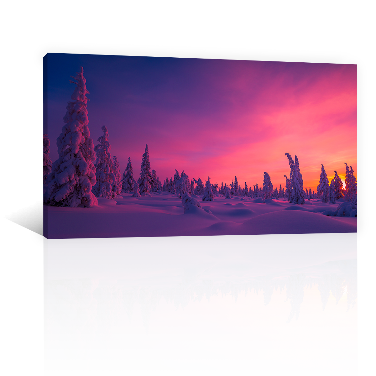 Invierno Vibrante