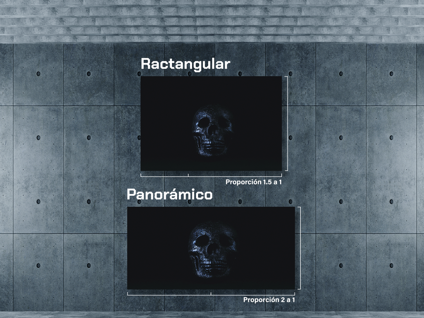 Craneo plateado