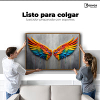 Cuadros Decorativos Canvas Revolution | Alas Angel Colores | Colgar