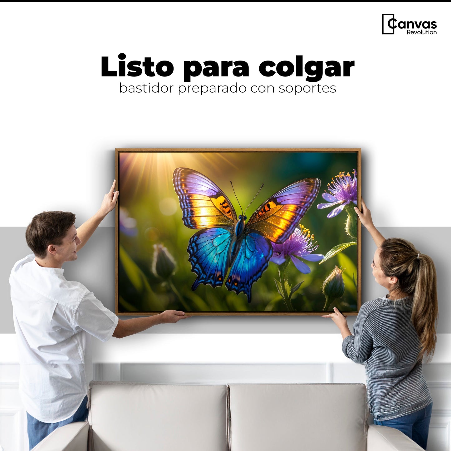 Cuadros Decorativos Canvas Revolution | Alas En El Sol | Colgar
