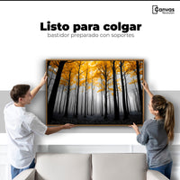Cuadros Decorativos Canvas Revolution | Amarillo Silente | Colgar