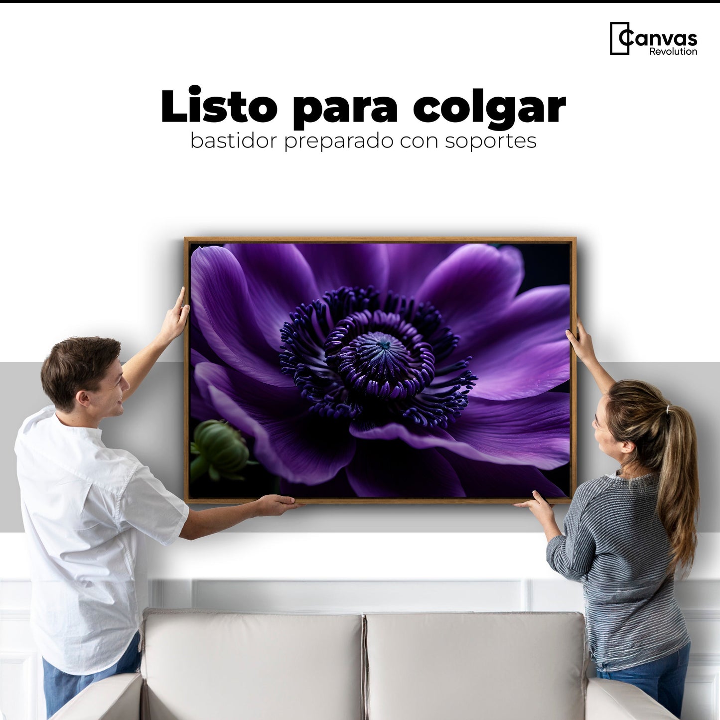 Cuadros Decorativos Canvas Revolution | Anemona Violeta | Colgar