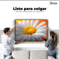 Cuadros Decorativos Canvas Revolution | Aura De Margarita | Colgar