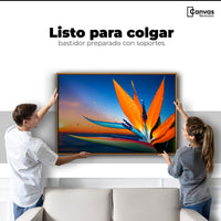 Cuadros Decorativos Canvas Revolution | Ave De Paraiso Vivo | Colgar