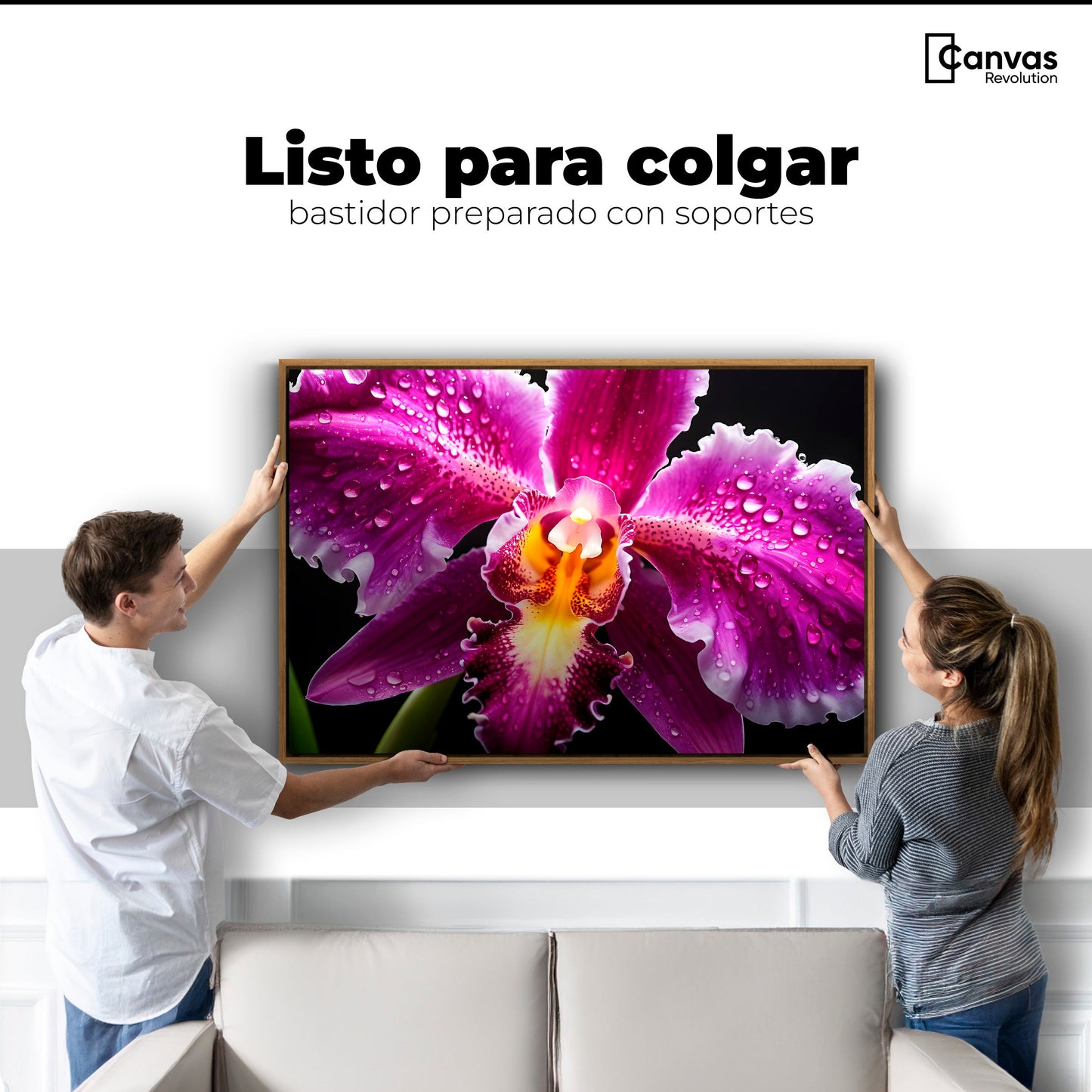 Cuadros Decorativos Canvas Revolution | Brillo De Cattleya | Colgar