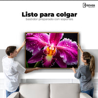 Cuadros Decorativos Canvas Revolution | Brillo De Cattleya | Colgar
