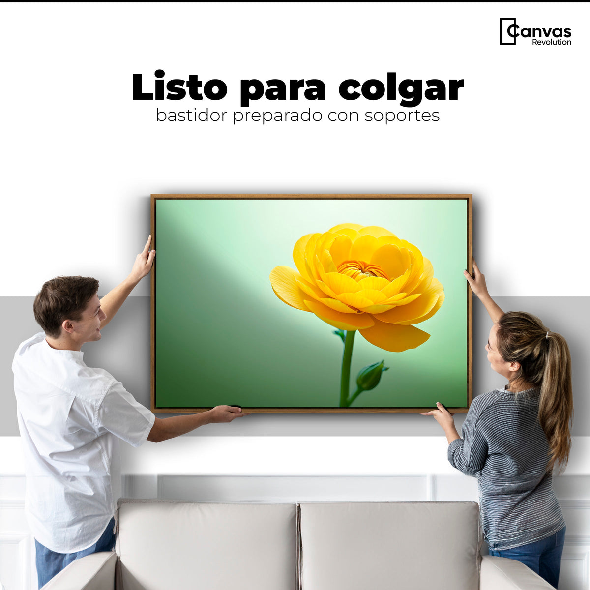 Cuadros Decorativos Canvas Revolution | Canto De Ranunculo | Colgar