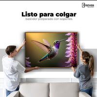Cuadros Decorativos Canvas Revolution | Colibri Elegante | Colgar