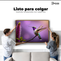 Cuadros Decorativos Canvas Revolution | Colibri Floresta | Colgar