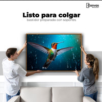 Cuadros Decorativos Canvas Revolution | Colibri Mistico | Colgar