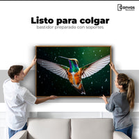 Cuadros Decorativos Canvas Revolution | Colibri Nocturno | Colgar