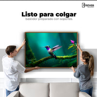 Cuadros Decorativos Canvas Revolution | Colibri Selvatico | Colgar