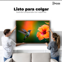 Cuadros Decorativos Canvas Revolution | Colibri Simpleza | Colgar
