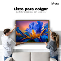 Cuadros Decorativos Canvas Revolution | Flor Iris Divino | Colgar