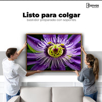 Cuadros Decorativos Canvas Revolution | Flor Pasion Eterna | Colgar