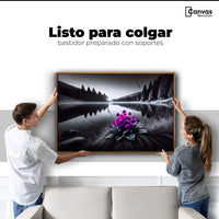 Cuadros Decorativos Canvas Revolution | Flores En El Agua | Colgar