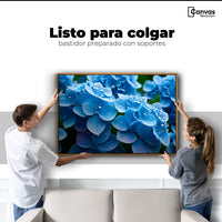 Cuadros Decorativos Canvas Revolution | Hortensia Azulada | Colgar