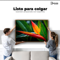 Cuadros Decorativos Canvas Revolution | Llama De Heliconia | Colgar