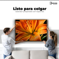 Cuadros Decorativos Canvas Revolution | Llama Lirio Macro | Colgar