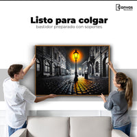 Cuadros Decorativos Canvas Revolution | Luz En El Pasado | Colgar