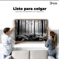 Cuadros Decorativos Canvas Revolution | Misterio En Bosque | Colgar