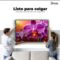 Cuadros Decorativos Canvas Revolution | Orquidea Morada Sol | Colgar