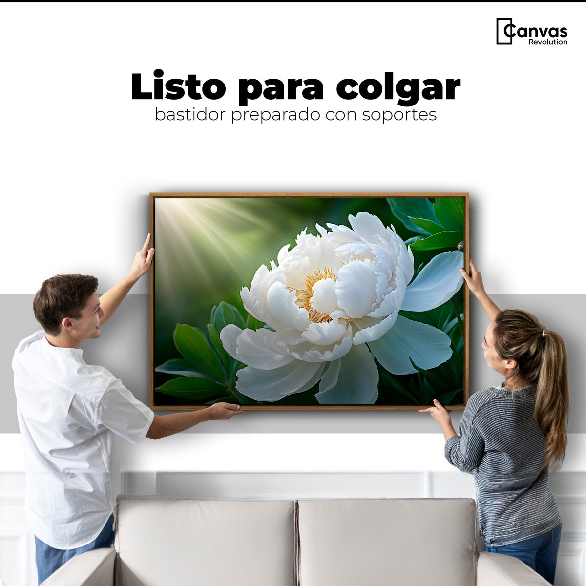 Cuadros Decorativos Canvas Revolution | Rayos De Peonia | Colgar