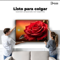 Cuadros Decorativos Canvas Revolution | Rosa Escarlata Viva | Colgar
