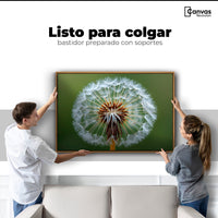 Cuadros Decorativos Canvas Revolution | Sueno En Vuelo | Colgar