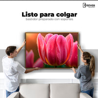 Cuadros Decorativos Canvas Revolution | Tulipan Rosa Eterno | Colgar