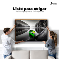 Cuadros Decorativos Canvas Revolution | Verde En El Lago | Colgar