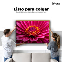 Cuadros Decorativos Canvas Revolution | Zinnia Magia Rosa | Colgar