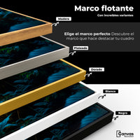 Cuadros Decorativos Canvas Revolution | Alas Brillantes | ColoresMarco