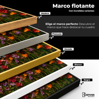 Cuadros Decorativos Canvas Revolution | Alas En Flores | ColoresMarco