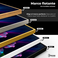 Cuadros Decorativos Canvas Revolution | Aura Hibisco Magico | ColoresMarco