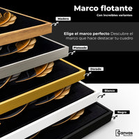 Cuadros Decorativos Canvas Revolution | Colibri Brillante | ColoresMarco