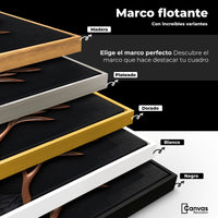 Cuadros Decorativos Canvas Revolution | Colibri Dorado | ColoresMarco