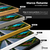 Cuadros Decorativos Canvas Revolution | Cosmos Bellas Artes | ColoresMarco