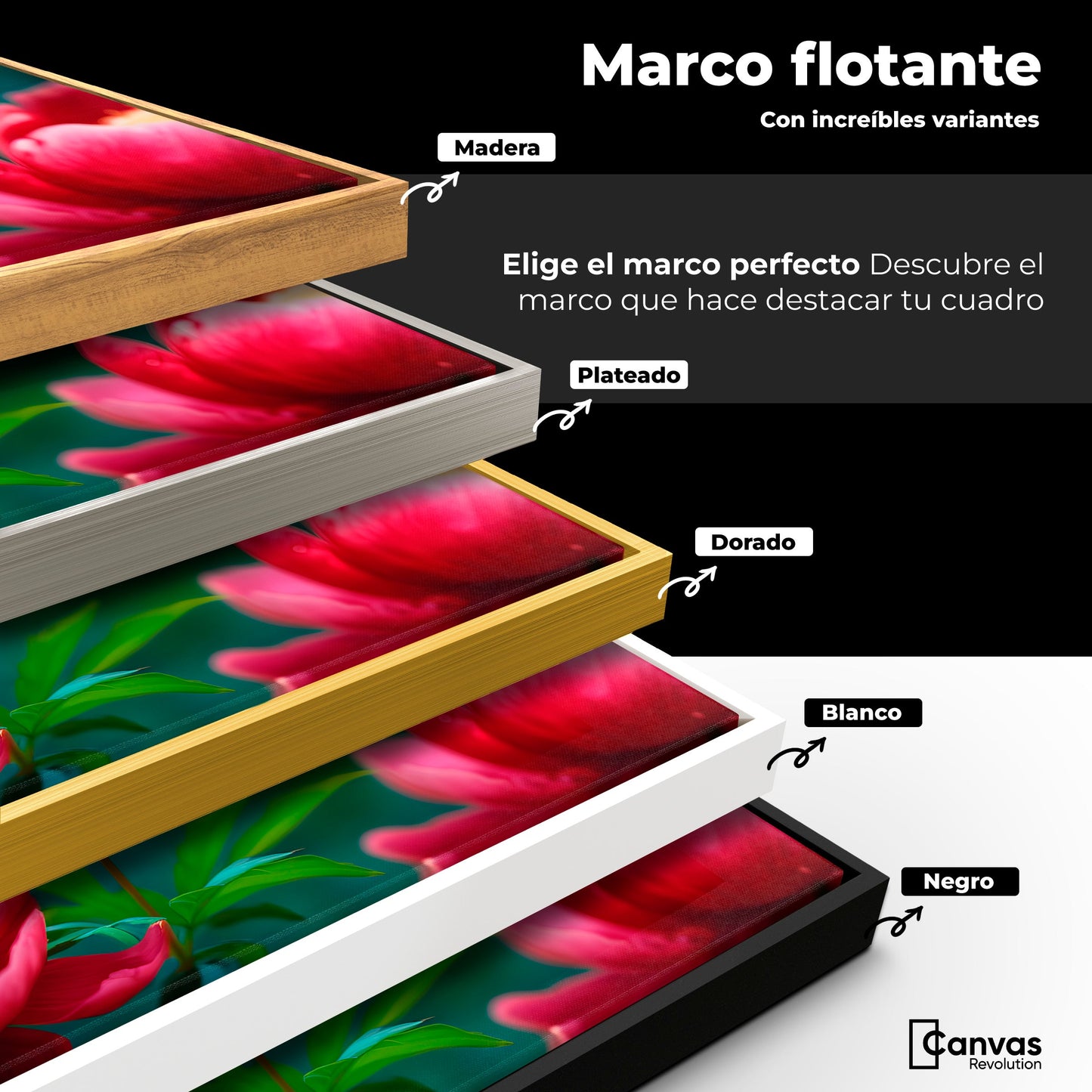Cuadros Decorativos Canvas Revolution | Flor De Pasion | ColoresMarco