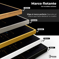 Cuadros Decorativos Canvas Revolution | Joyas Celestiales | ColoresMarco